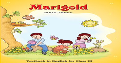 English Book Marigold For Class 3